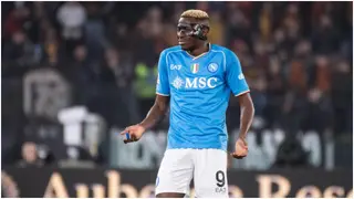 Victor Osimhen: Jose Peseiro Says One Spanish Club Would Suit Nigeria Striker if He Leaves Napoli