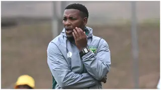 Carling Knockout Cup quarter-finals: Golden Arrows aiming to end 14-year wait for Silverware