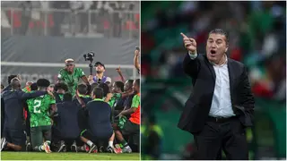 Jose Peseiro: Former Nigeria Coach Explains the Difficulty of Coaching Super Eagles