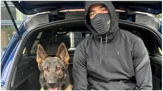 Embattled Manchester United star spends £25k on attack dog to protect his home after police bail