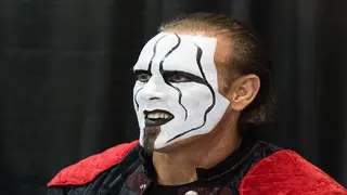 Sting wrestler net worth: How much is the professional wrestler worth right now?