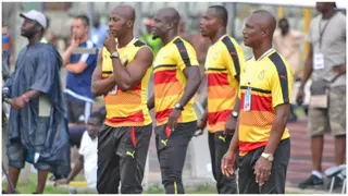 No Ghanaian coach has applied for vacant Black Stars job