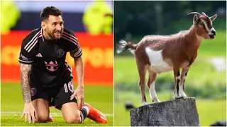 Lionel Messi receives GOAT praise after scoring insane goal and helping Inter Miami to winning ways