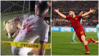 Video shows scared 'Greek god' Manolas running for his life after lion roars during photoshoot at new club
