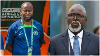 Pininck backs Finidi's decision to appoint foreign assistants
