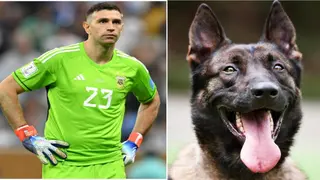 Argentina goalkeeper buys dog to protect his World Cup winners medal
