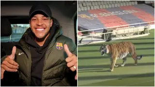 FC Barcelona gives Vitor Roque wild welcome as Catalan club build excitement for Tigrinho's arrival