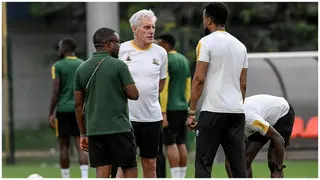 Hugo Broos: Bafana Boss Expected to Field Strong Starting XI Against Algeria in FIFA Series Friendly