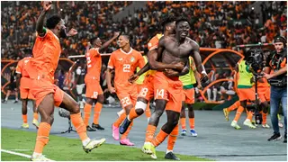 AFCON 2023: How Ivory Coast Staved Off Elimination to Set Up Final Against Nigeria