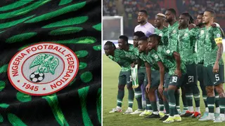 Nigeria’s minister of sports gives update on the Super Eagles coaching job