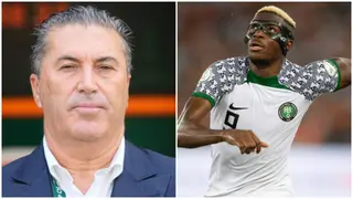 AFCON 2023: Peseiro voice his frustration with Super Eagles lack of goals