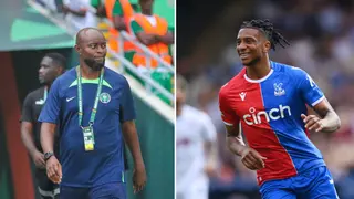Michael Olise: Adepoju Speaks on the Possibility of Crystal Palace Star Playing for Super Eagles