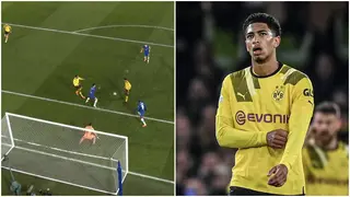 Watch: Jude Bellingham wastes 'begging chance' as Dortmund suffer Champions League heartbreak