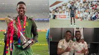 SA Young Rugby Player of the Year, Aphele Fassi: 24 Year Old Is a Superstar for Sharks and Springboks