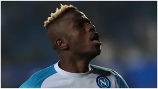 Reactions as Victor Osimhen becomes Nigeria’s greatest goalscorer in Serie A history