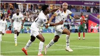 Ghana captain Andre Ayew Scores Africa's first goal at 2022 FIFA World Cup
