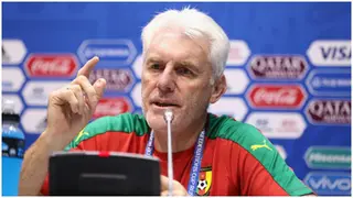 Hugo Broos Opens Up on Axing as Coach of Cameroon's National Football Team