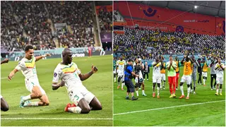 World Cup 2022: Heartwarming moment Morocco fan joins Senegal fans to cheer the Lions of Teranga vs Ecuador