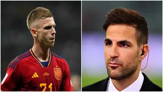 Fabregas Tells Chelsea to Sign Dani Olmo From RB Leipzig