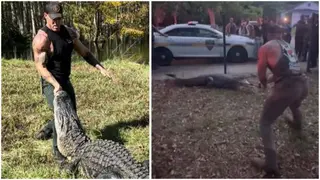 MMA Fighter Wrestles Monster Alligator to Protect Students Outside School, Video