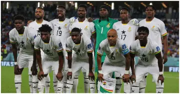 Ghana, Black Stars, Coach, Vacant Job