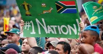 World Champions Springboks End Year Top of Rugby Rankings Despite England Loss