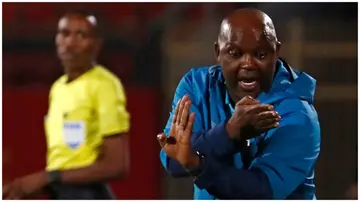 Pitso Mosimane reacts during the CAF Champions League semi-final match between Egypt's al-Ahly and Algeria's ES Setif. Photo: Khaled Desouki.