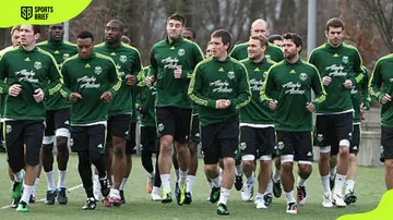 Seattle Sounders vs Portland Timbers matches