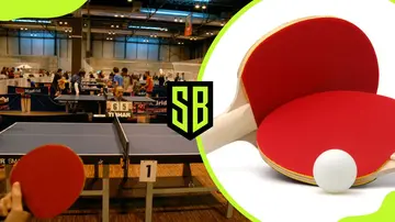 Table tennis bats and table