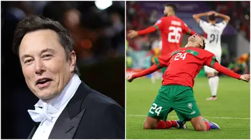 Elon Musk, Twitter, Morocco, World Cup, Portugal, semifinal