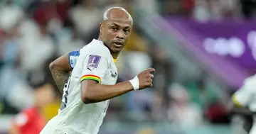 Andre Ayew, Ghana, Black Stars, AFCON, Ivory Coast, Chris Hughton