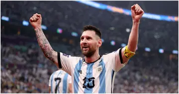 Lionel Messi, Argentina, World Cup, fan, Qatar, title