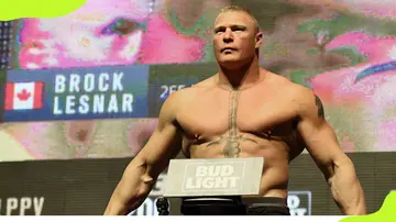 Why is Brock Lesnar not Wrestling anymore?