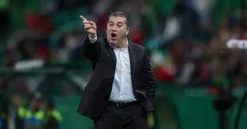 Jose Peseiro, Super Eagles, AFCON, Nigeria, Guinea