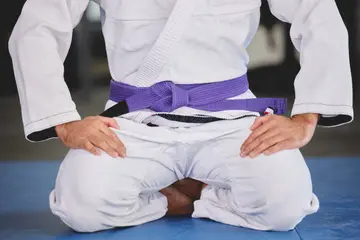 Jiu Jitsu belt ranking order