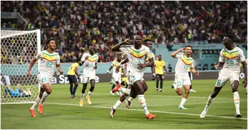 Senegal, Ecuador, World Cup, Qatar 2022, England, Aliou Cisse.