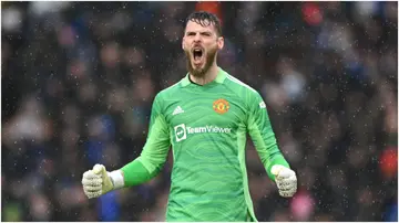 David De Gea celebrates during the Premier League match between Leeds United and Manchester United at Elland Road. Photo by Shaun Botterill.