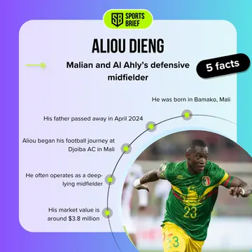 Facts about Aliou Dieng