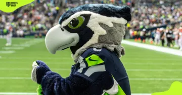 Blitz, Seattle Seahawks' mascot