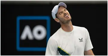 Andy Murray, Bautista Agut, Tennis, Australian Open