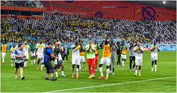 Senegal, FIFA World Cup, Qatar 2022, Group A, Ecuador, Khalifa International Stadium, Kalidou Koulibaly, Ismaila Sarr, Moises Caicedo