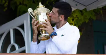 Why is there a pineapple on the Wimbledon Men's Trophy