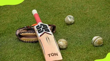 Cricket bat and ball