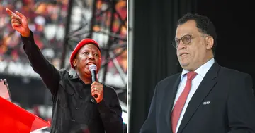 Julius Malema wants Danny Jordaan to be removed as President of SAFA.