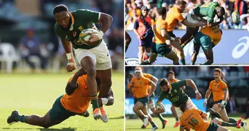 Rampant, Australia, Outplays, South Africa, Adelaide, Secure, Victory, Rugby Championship, Sport, Rugby