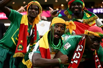 Senegal supporters at the 2022 World Cup; African teams will be the biggest beneficiaries of the expansion to 48 teams in 2026