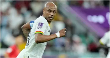 Andre Ayew, Ghana, Black Stars, World Cup Qualifiers