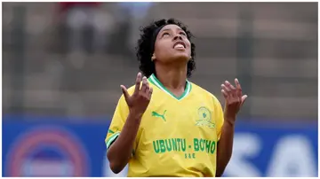 Miche Minnies, Ronaldinho, Brazil, Mamelodi Sundowns