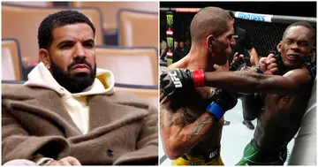 Drake, Israel Adesanya, Alex Perreira, UFC