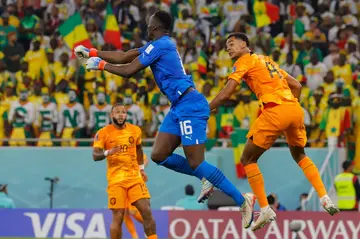 Cody Gakpo (R) headed in a crucial late goal to break the deadlock in the Netherlands' opener against Senegal